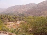 Rajasthan-Landschaft